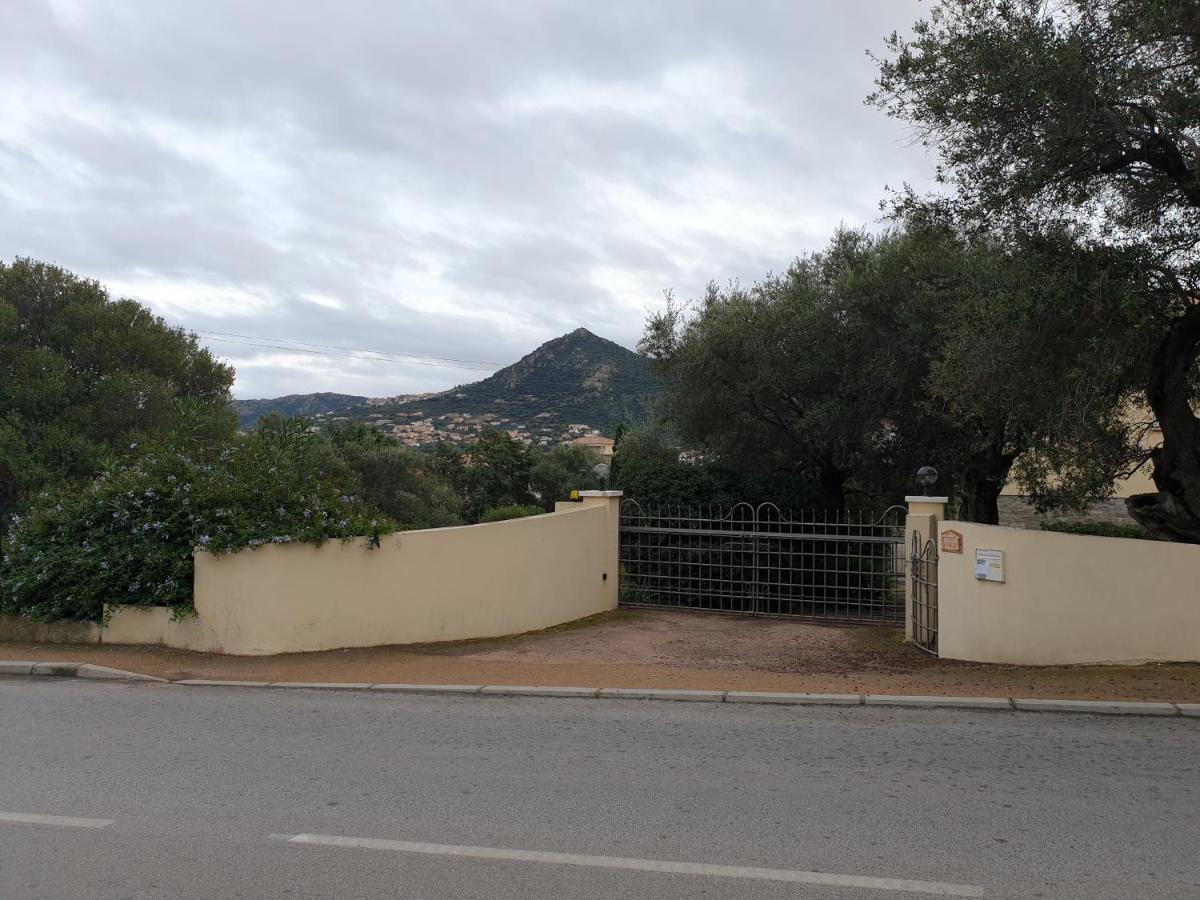 Villa Athena L'Ile-Rousse  Exterior photo